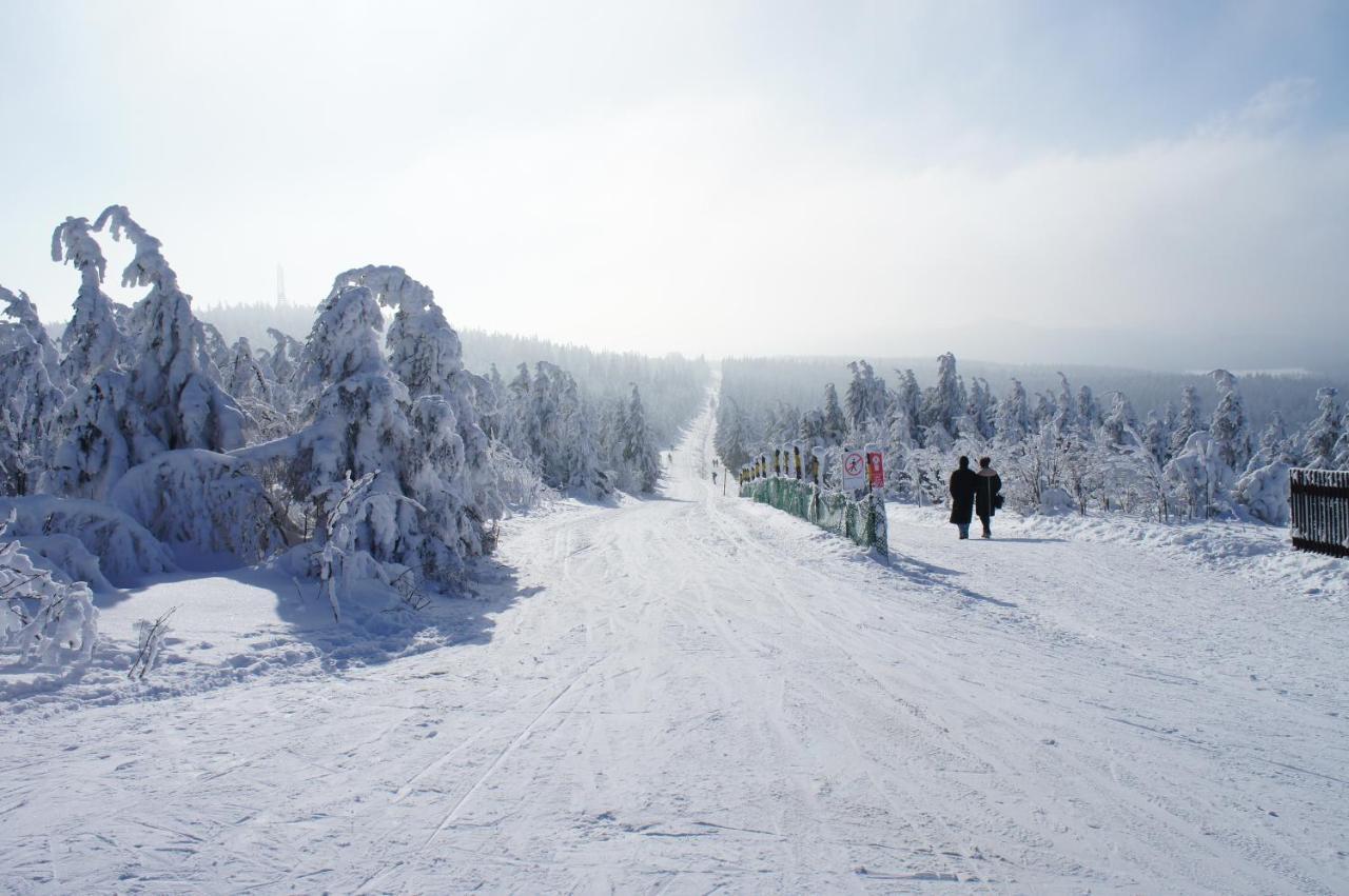 Horský Plešivec Tree *