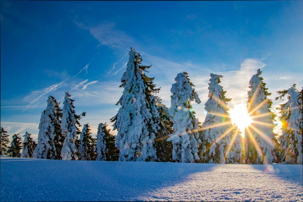 Horský Plešivec Tree *